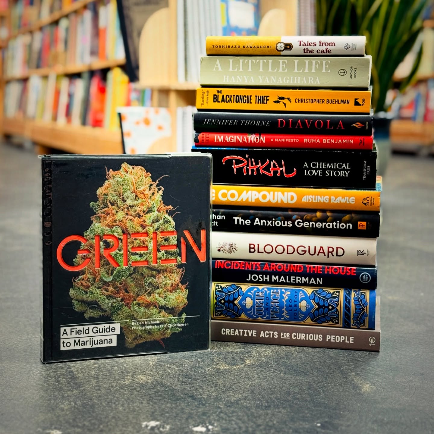 📚 We’re buying used books daily!
Our IG feed and shelves are the best way to see what we’re looking to buy—plus a glimpse of the gems already coming in. Peek at our Instagram for highlights, or stop by and browse in person.