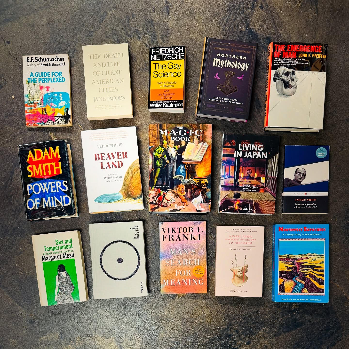 ✨ Fresh Nonfiction Finds ✨
Our shelves just got a boost of brilliance — a mix of philosophy, history, psychology, and culture, all in gently used editions waiting for curious minds. 🌍📚
Highlights include:
🔹 The Death and Life of Great American Cities – Jane Jacobs
🔹 The Gay Science – Friedrich Nietzsche
🔹 Man’s Search for Meaning – Viktor E. Frankl
🔹 The Human Condition – Hannah Arendt
🔹 A Guide for the Perplexed – E.F. Schumacher
🔹 Sex and Temperament – Margaret Mead
🔹 The Magic Book – classic lore of spells & tricks
🔹 Northern Mythology – Norse, Finnish & Sami traditions
🔹 Plus explorations of anthropology, urban planning, beavers, and more!
Whether you’re drawn to philosophy, psychology, myth, or cultural studies — this stack has something to spark your imagination.
📖 Which one would you take home first?
#NonfictionBooks #UsedBooks #PhilosophyReads #Anthropology #UrbanStudies #Bookstagram #IndieBookstore #CuriousMinds