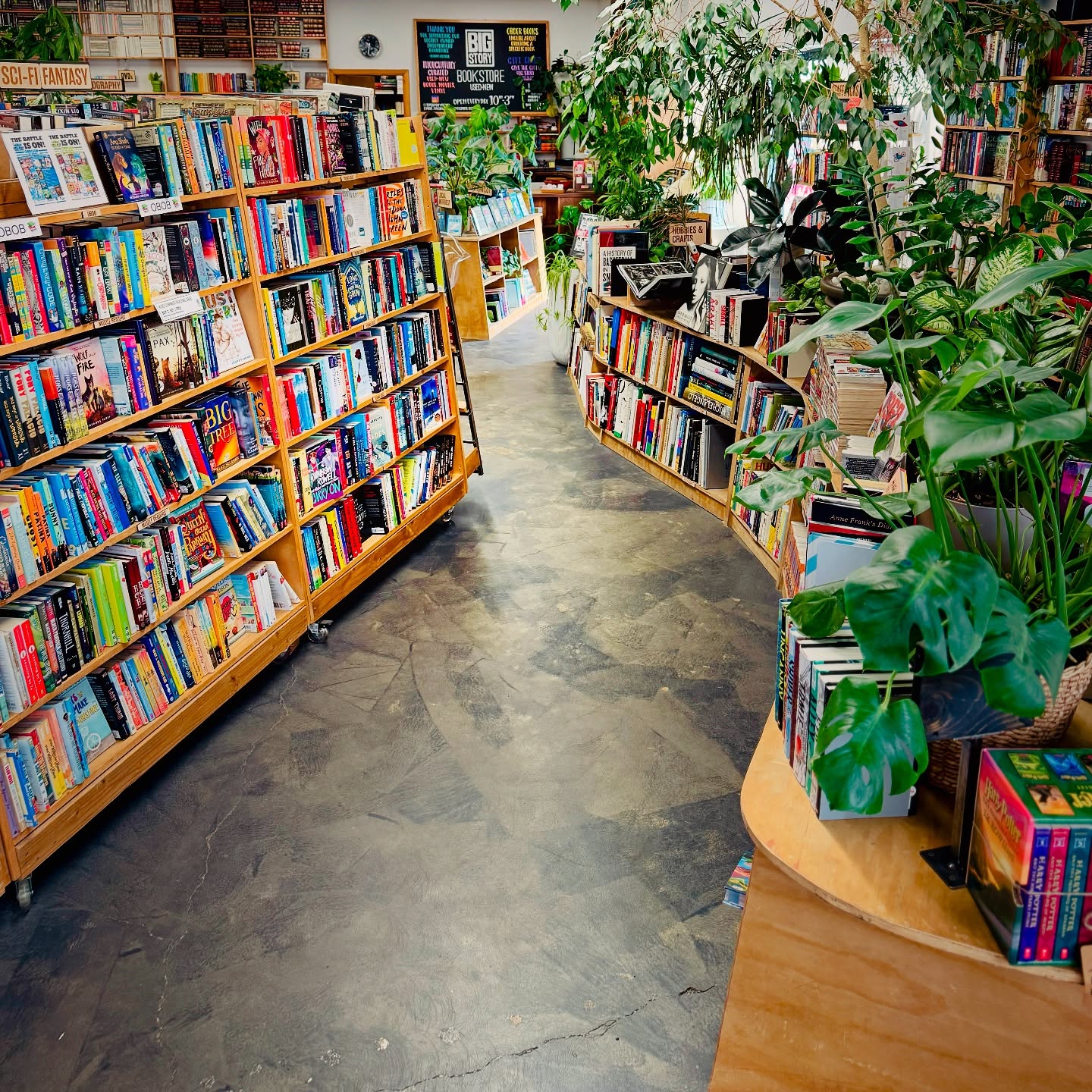 ✨ Lose yourself in the magic of stories, surrounded by shelves of wonder and a jungle of greenery 🌿📚. At Big Story Bookstore, every corner is alive with discovery — from sci-fi adventures to timeless classics. Come wander, linger, and let the books (and plants) choose you.
#BigStoryBookstore #IndieBookstore #Bookstagram #ShopLocal #BookstoreVibes #ReadersOfInstagram #BookLoversUnite #PlantsAndBooks