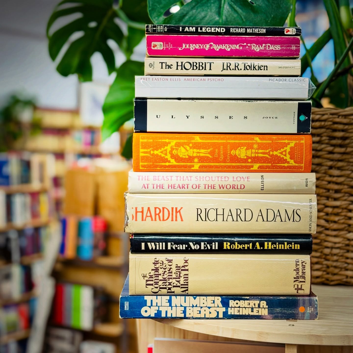 📚 One of the true joys of owning a used bookstore?
Discovering unique editions of classic and iconic titles — from pocket-sized mass markets and UK printings to vintage hardcovers with a little patina and a lot of soul.
Tolkien, Joyce, Heinlein, Adams, Matheson, Ellison… every spine tells a story.
✨ Stop in and dig through the stacks — you never know what treasures you’ll find at Big Story Bookstore.
#UsedBooks #Bookstagram #BookstoreFinds #VintageBooks #LiteraryIcons #TheHobbit #Ulysses #Heinlein #RichardAdams #AmericanPsycho #IAmLegend #BendOregon #ShopLocal