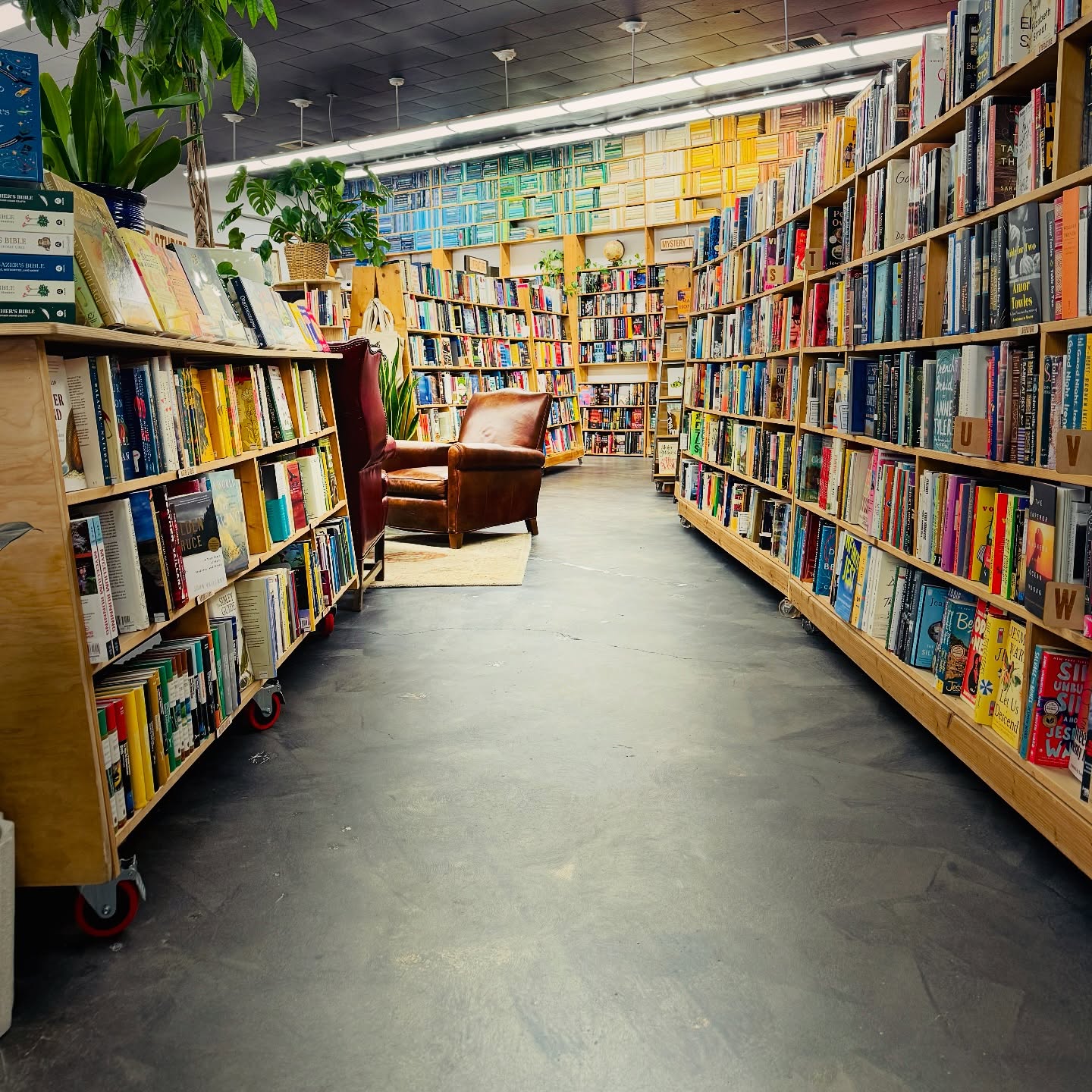 📚✨ Step into the maze of stories — where every aisle is a doorway to another world. Wander. Wonder. Let curiosity lead.
From philosophy to fiction, mystery to memoir, Big Story is a place for explorers of the inner and outer world alike. 🌍💭
Come get lost — and maybe, just maybe, find something that changes the way you see everything.
#BookstoreAdventures #ReadWidely #ExploreIdeas #MindExpandingReads #IndependentBookstore #LiteraryLife #BendOregon