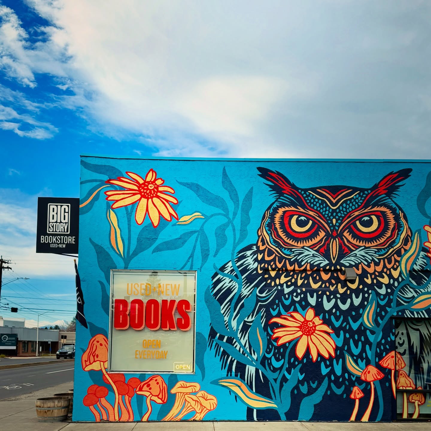 Street art out front. 🌼📚🍄
Mind expanding books inside.
Used & new books, open til 6:00 until 12/24.