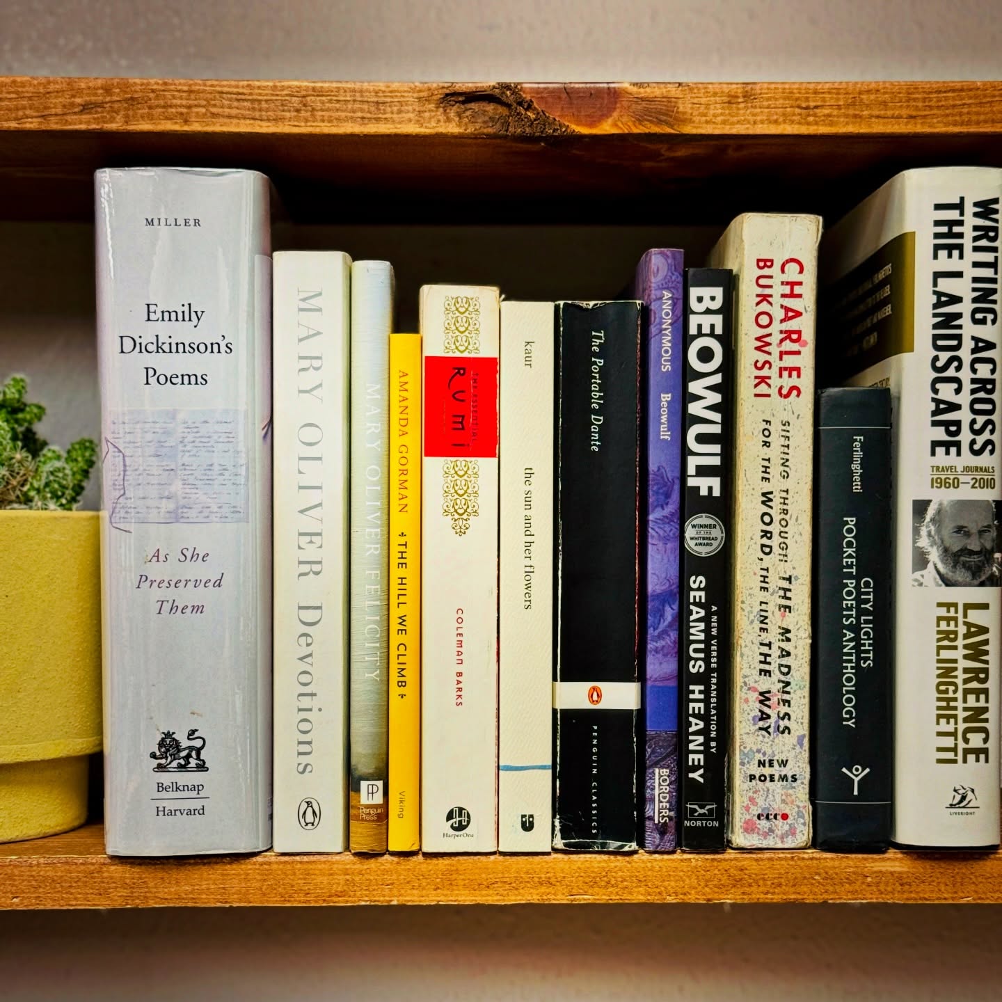 ✨Restocking Poetry! ✨From Dickinson and Mary Oliver to Rumi, Kaur, Bukowski, and Heaney — a whole lot of heart, grit, and wonder packed onto one little shelf. All used, all curated with love. ✨📚